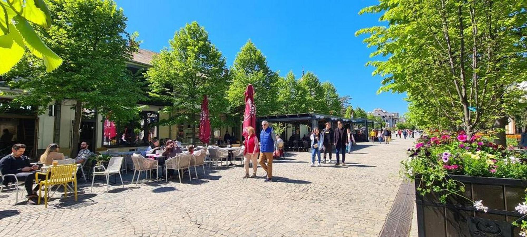 Great Exodus - Iasi City Center エクステリア 写真